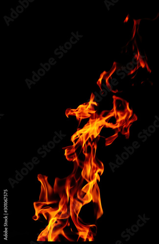 Fire flame isolated on black background. Beautiful red, yellow, orange flashes of fire in the wind. © Stepanov Aleksei