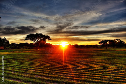 Sunset in Zimbabwe photo