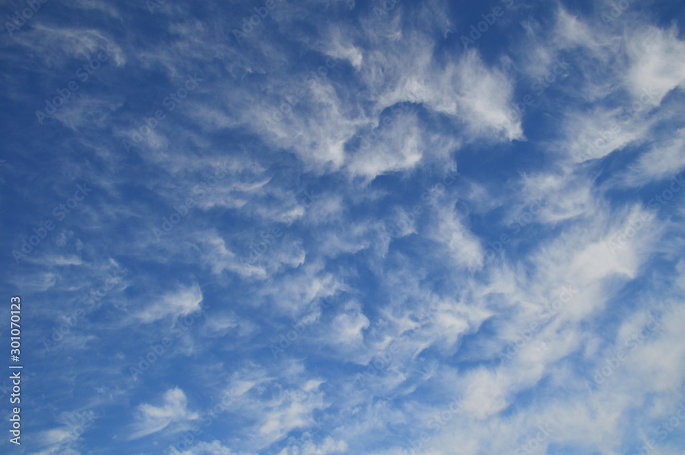 綿をちぎったような雲が一面に広がっている青空の風景