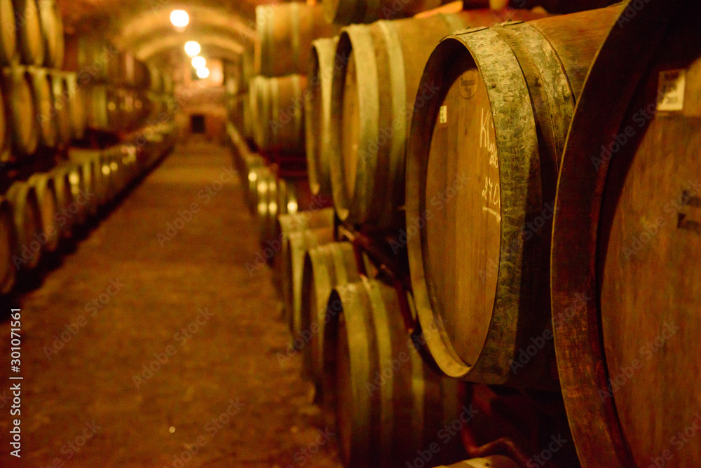 Wine barrels in wine-vaults in order. Wine bottle and barrels Wine barrels in wine-vaults in order. Wine bottle and barrels