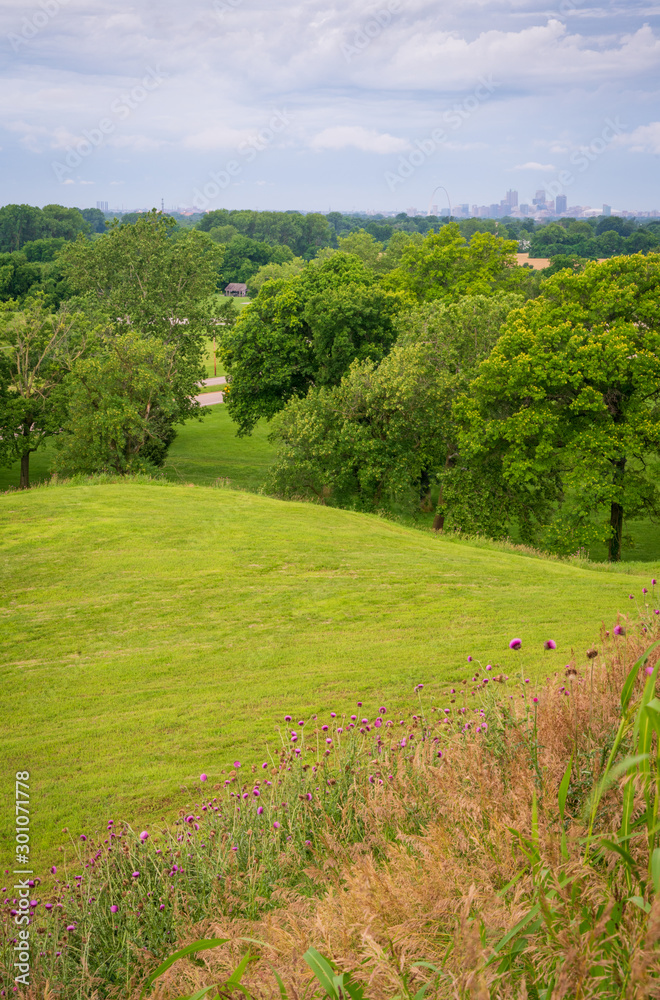 On top of Cahokia Mounds State Historic Site