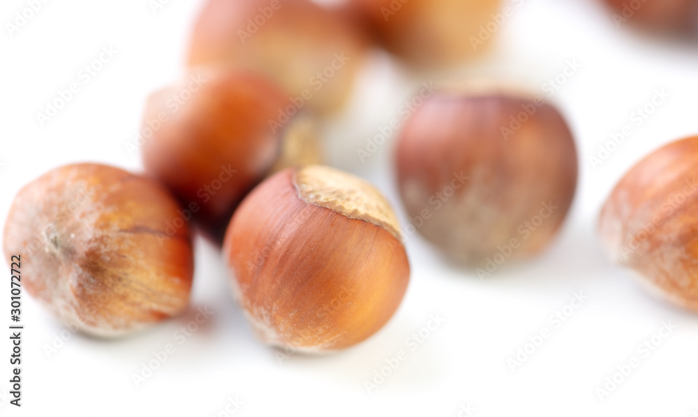 Hazelnuts nuts isolated on a white background Hazelnuts nuts isolated on a white background