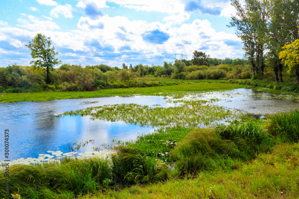 Summer landscape with beautiful river, green trees and blue sky