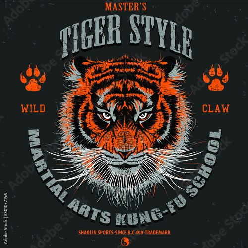 tiger illustration art print graphic design 