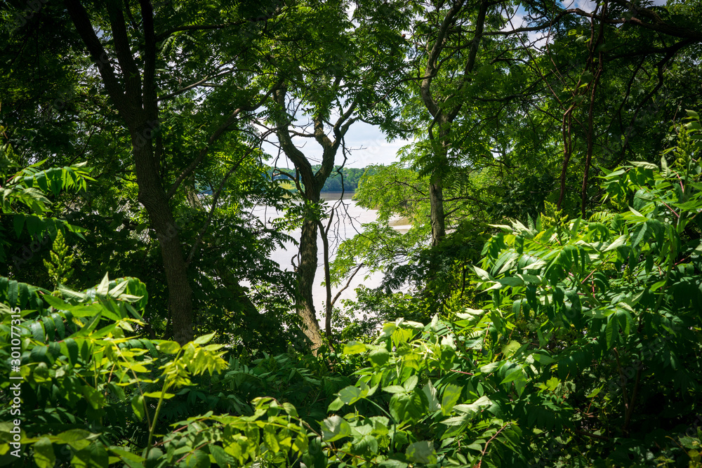 Maumee River Through the Trees at Fort Miamis National Historic Site Maumee River Through the Trees at Fort Miamis National Historic Site