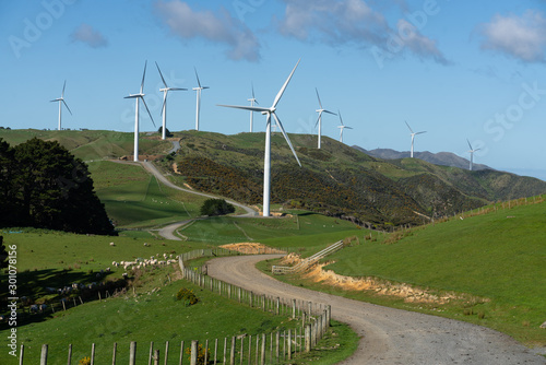 Wind turbines at Makara near Wellington New Zealand