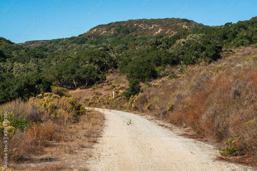 Back Country Road at Fort Ord National Monument