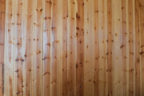 texture of wood