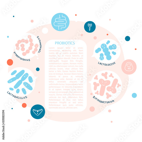 Probiotics, human intestinal microflora vector banner template