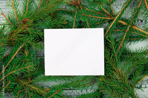 Christmas texture on a blue wooden background surrounded by spruce branches. White form with a place for recording on branches.