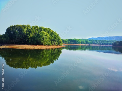 lake in forest