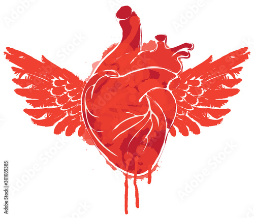 Vector graphic abstract illustration of human heart with wings isolated on white background. Red flying heart with ink blots, bloody drops and drips. Graffiti, tattoo, t-shirt design template