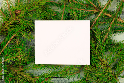 Christmas texture on a blue wooden background surrounded by spruce branches. White form with a place for recording on branches.