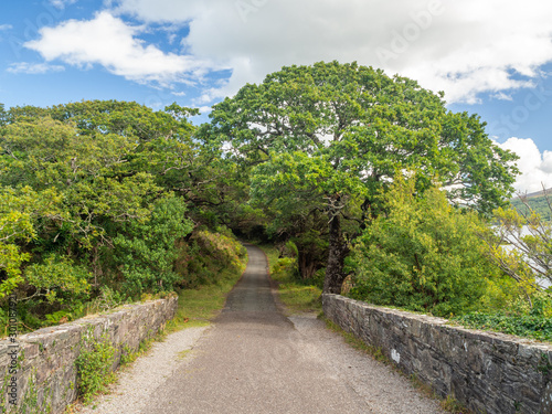 Old bridge way in Killarney national park in Ireland