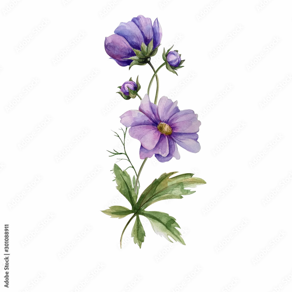 Composition of watercolor flowers Composition of watercolor flowers