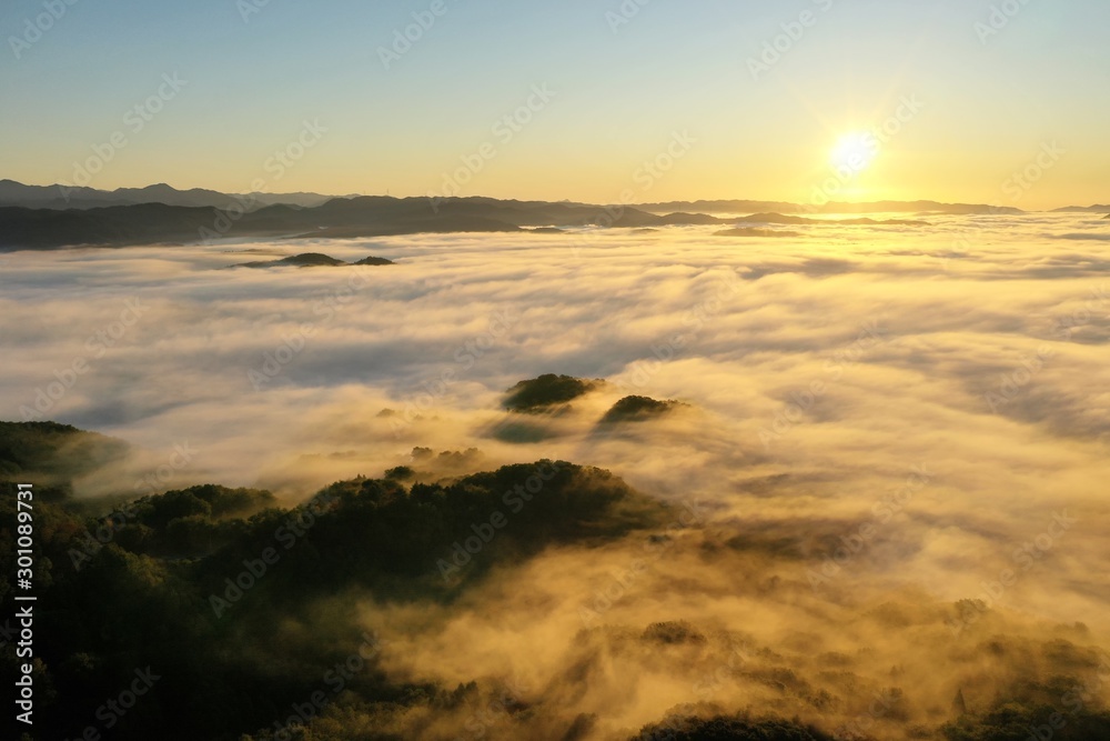 Fototapeta premium 大撫山の朝霧オレンジの雲海