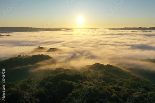 大撫山の朝霧オレンジの雲海