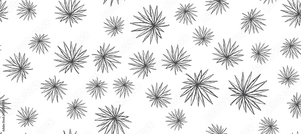 Tropical palm hand drawn illustration Tropical palm hand drawn illustration