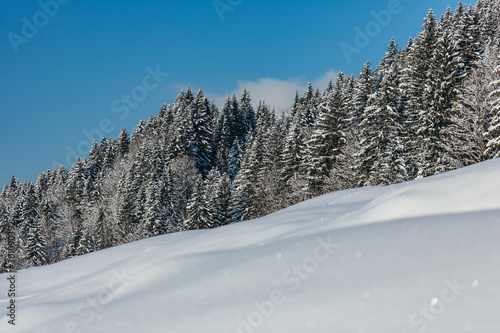 Schneezauber im Werdenfelser Land