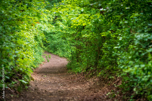 Trails at Indiana Dunes National Park