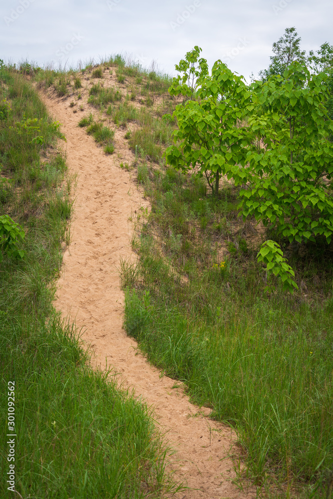 Trails at Indiana Dunes National Park