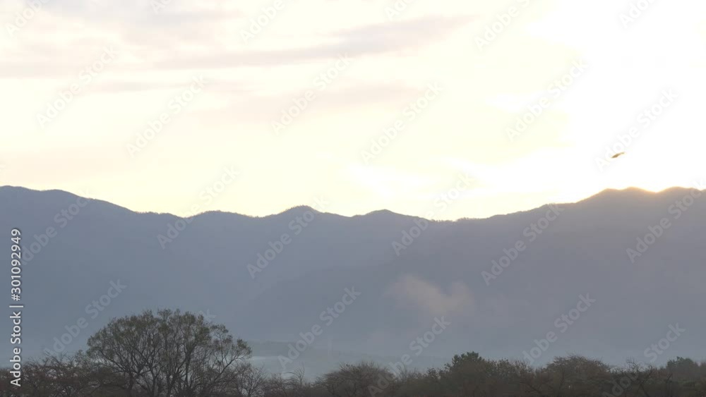 朝日の日の出と白鳥の飛翔 朝日の日の出と白鳥の飛翔