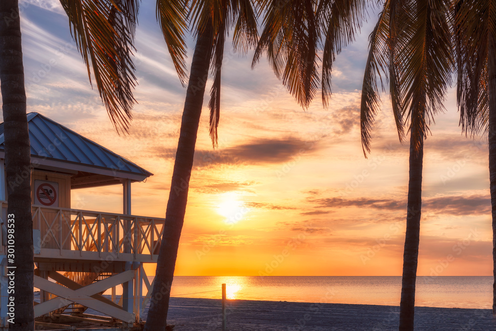 Palm trees silhouettes on tropical beach at sunrise in Miami Beach, Florida.