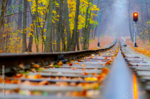 Narrow-gauge railway passing through the forest in the soft light of fog, soft selective focus. Bright colors of the autumn forest during fall foliage.