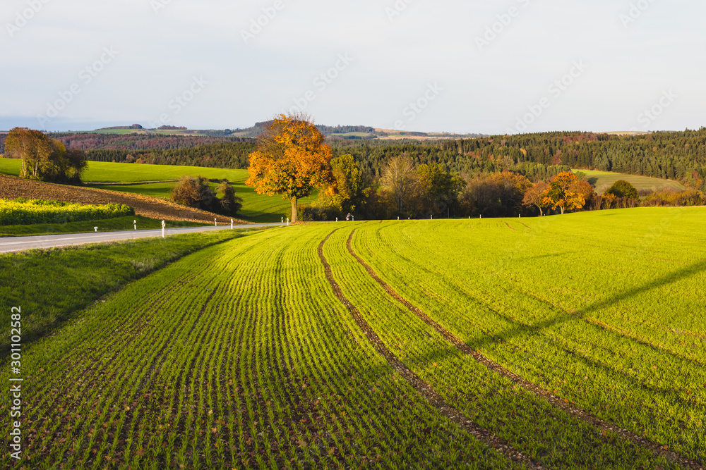 Herbstliche Hegaulandschaft bei Engen, Baden-Württemberg, Germany