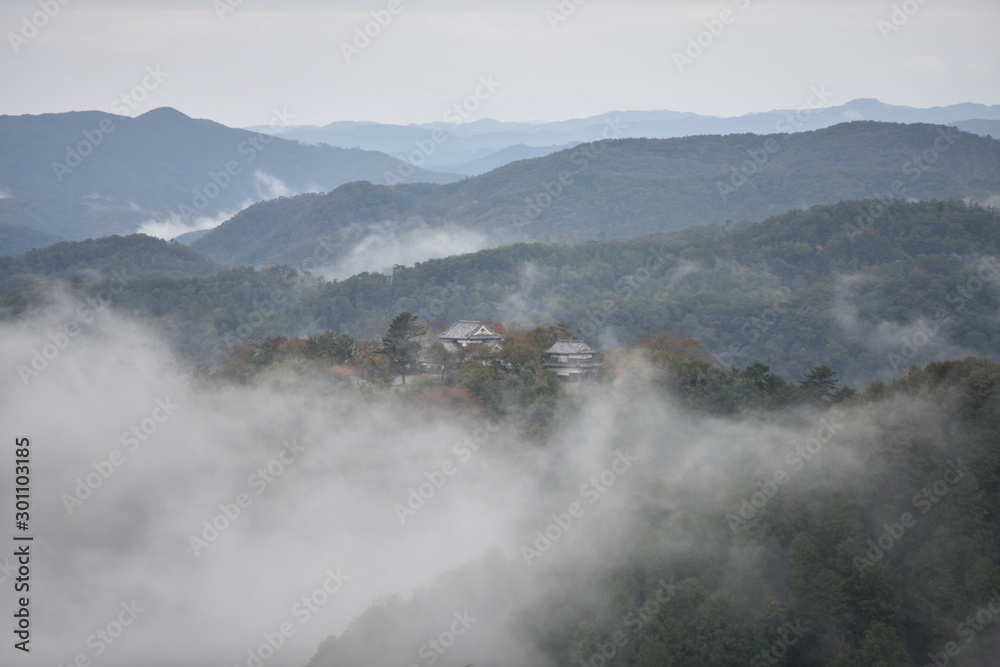 雲海に浮かぶ天空の城備中松山城