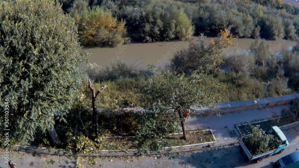 Benevento - Time lapse della raccolta di rami potatura Benevento - Time lapse della raccolta di rami potatura
