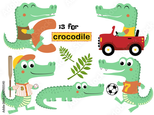 vector set of crocodile cartoon with various activity