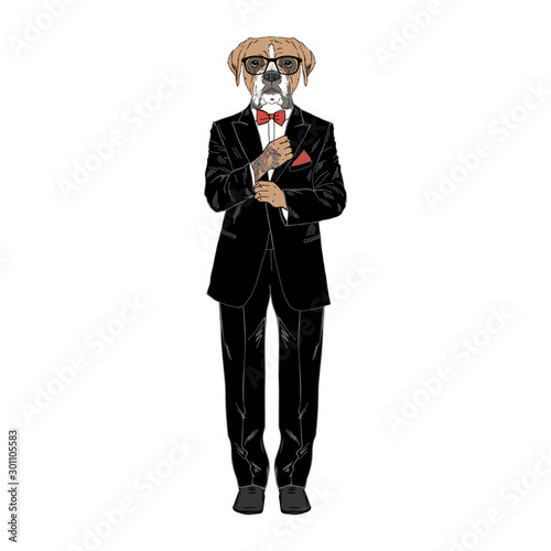 Humanized boxer breed dog with tattoo dressed up in classy outfits. Design for dogs lovers. Fashion anthropomorphic doggy illustration. Animal wear tuxedo, tie bow, glasses. Hand drawn vector.