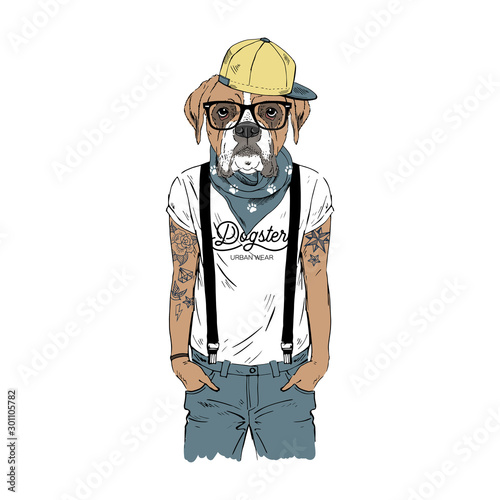 Humanized boxer breed dog with tattoo dressed up in modern city outfits. Design for dogs lovers. Fashion anthropomorphic doggy illustration. Animal wear t-shirt, jeans, cap, bandana, glasses. Hand