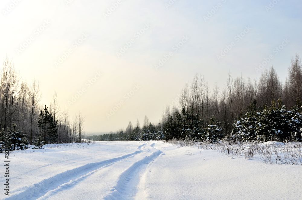 Snowy Road in Winter Forest. Awesome winter landscape. A snow-covered path among the trees in the wild forest. Forest in the snow. Snowy Road in Winter Forest. Awesome winter landscape. A snow-covered path among the trees in the wild forest. Forest in the snow.
