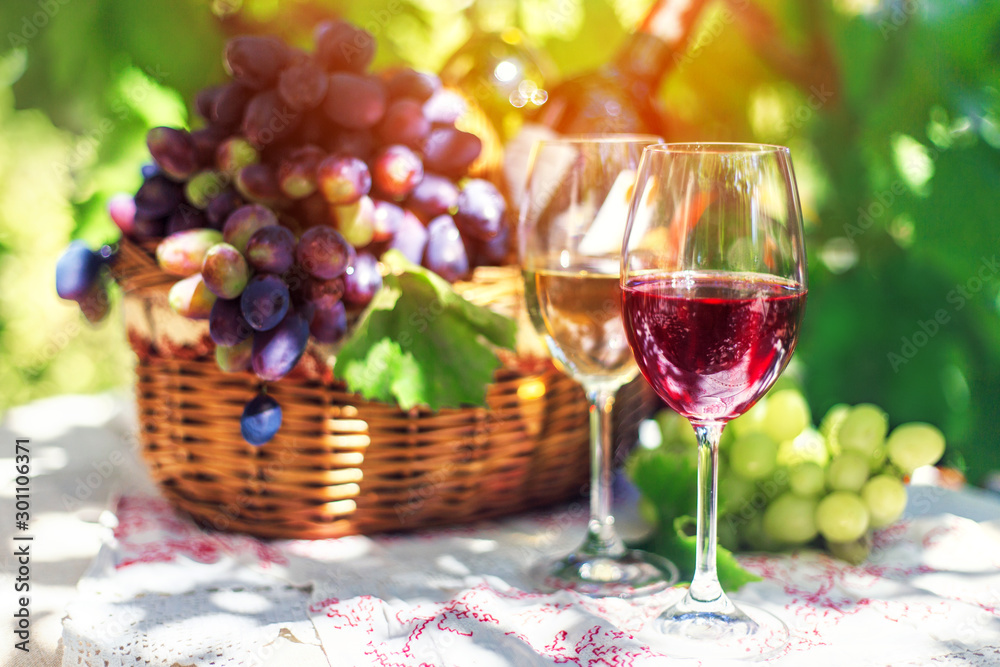 Red and white wine in glasses in the summer against a background of ripe grapes.