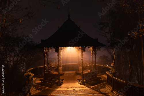 Night landscape. The street is in the fog. Kyiv, Ukraine