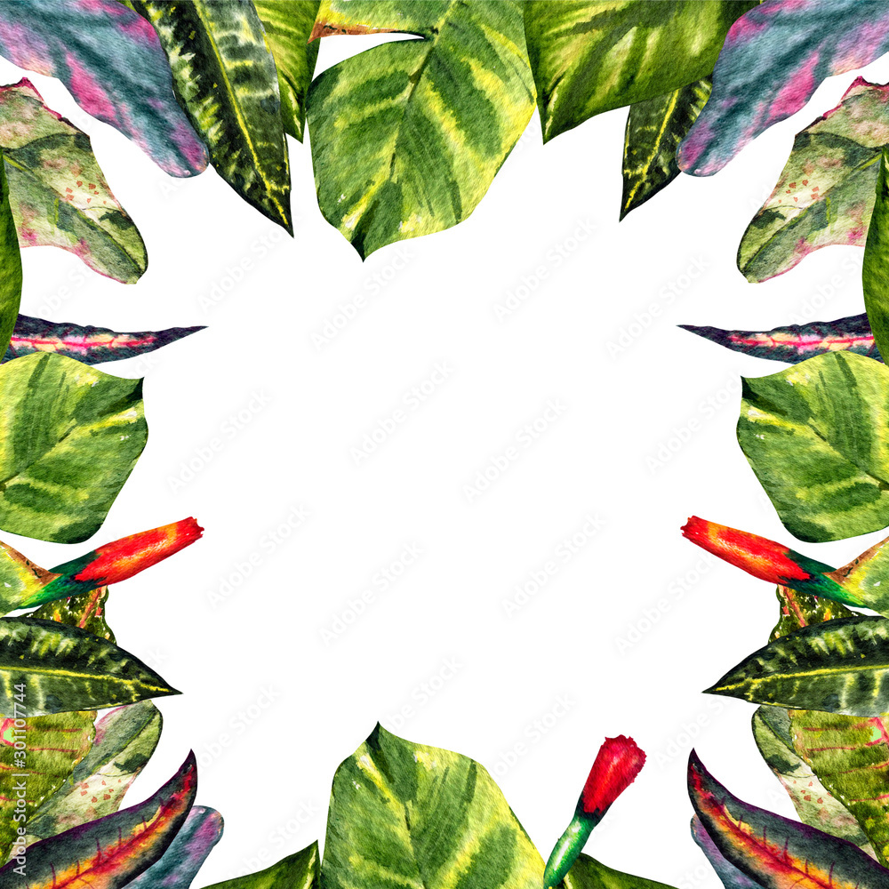 Fototapeta premium Frame of watercolor tropical leaves of Mexico