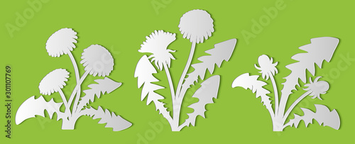 Laser cut template of dandelion. Openwork leaves, buds, flowers isolated on green background. Vector floral silhouette elements. Taraxacum illustration for wood carving, paper cut, stamp for die cut.