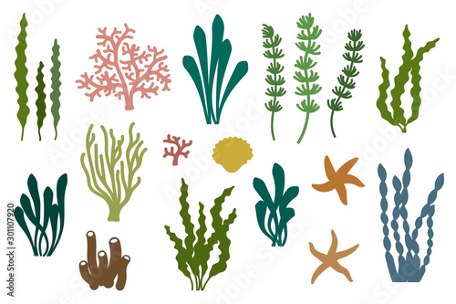 Laser cut template of seaweeds. Coral reef underwater plants vector collection. Aquarium alga set, ocean water plants, sea starfish silhouette. Illustration for wood carving, paper cut, die cut stamp. photo