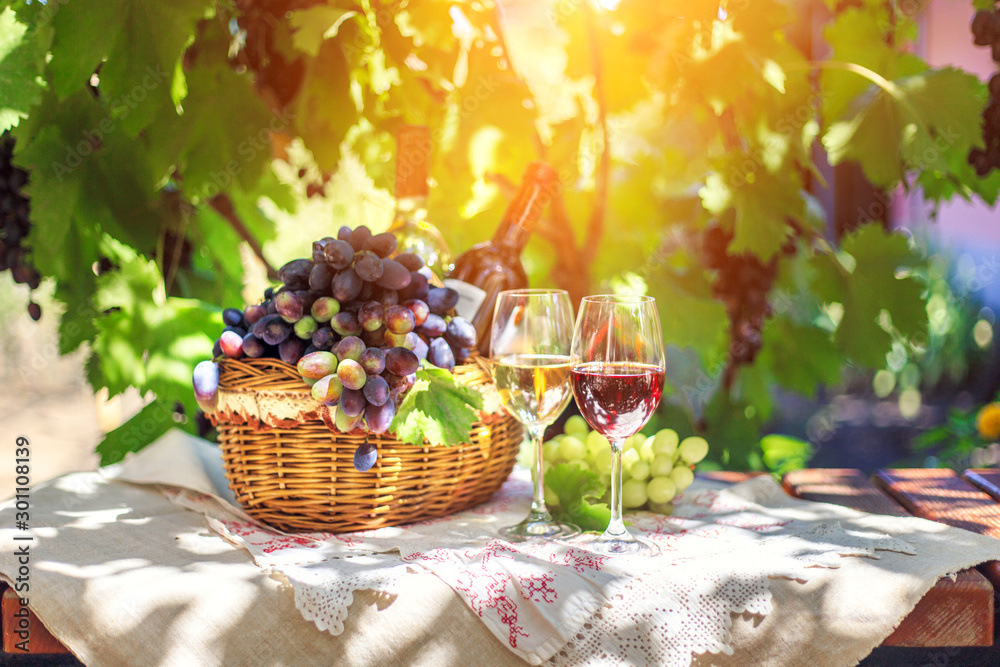 Red and white wine in glasses in the summer against a background of ripe grapes. Red and white wine in glasses in the summer against a background of ripe grapes.