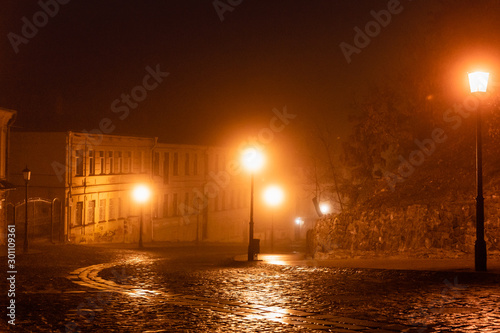Night landscape. The street is in the fog. Kyiv, Ukraine