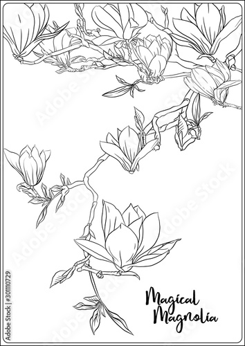 Fototapeta Naklejka Na Ścianę i Meble -  Magnolia tree branch with flowers. Coloring page for the adult coloring book. Outline hand drawing vector illustration..