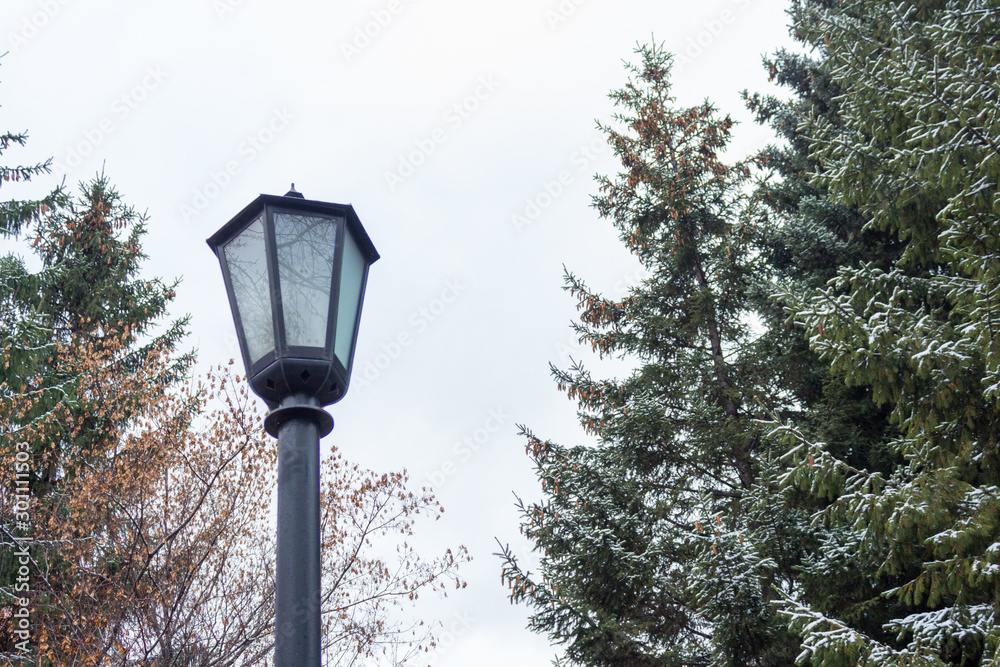 Street lamp in the city Park on the background of tree branches.