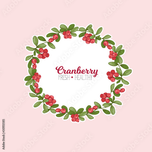 Cranberry. Element for design. Good for product label. Colored vector illustration