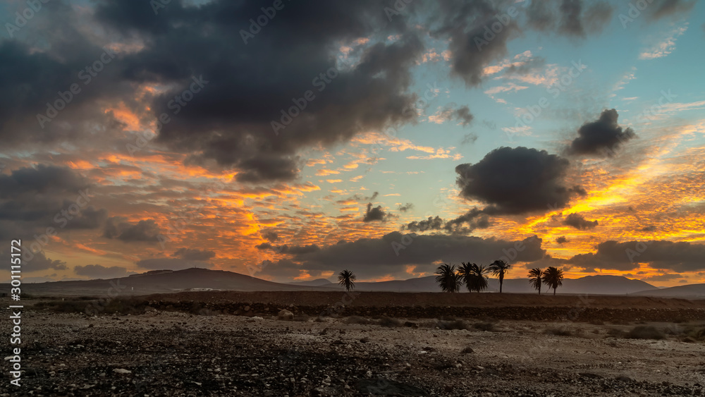Beautiful sunset in the municipality of Antigua, Fuerteventura, Canary islands, Spain, in a desert area with palm trees