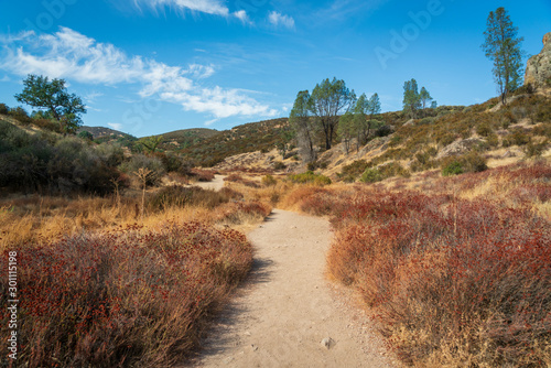 Trail Through Pinnacles National Park