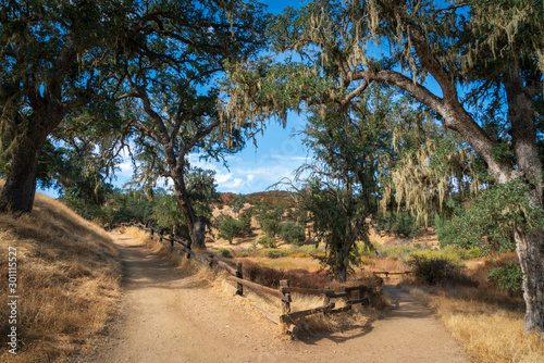 Fork in the Trail at Pinnacles National Park photo