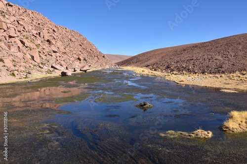 Wetlands Atacama