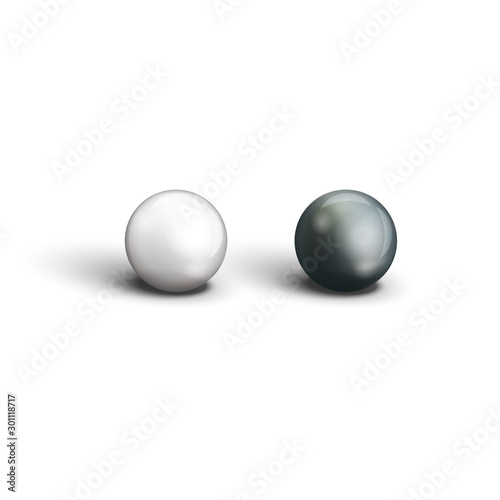 Realistic two black and whi...